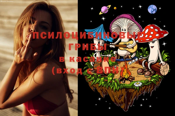 2c-b Верхний Тагил