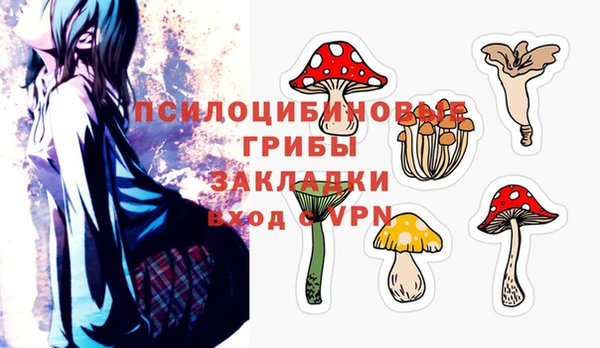 2c-b Верхний Тагил