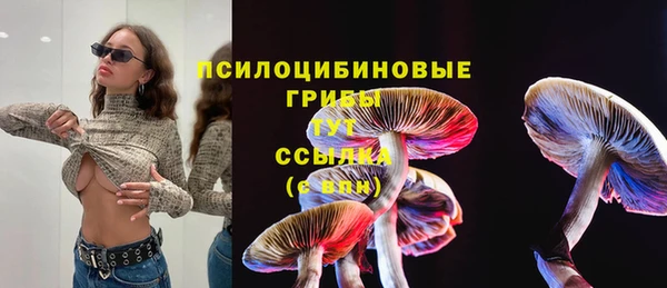 2c-b Верхний Тагил