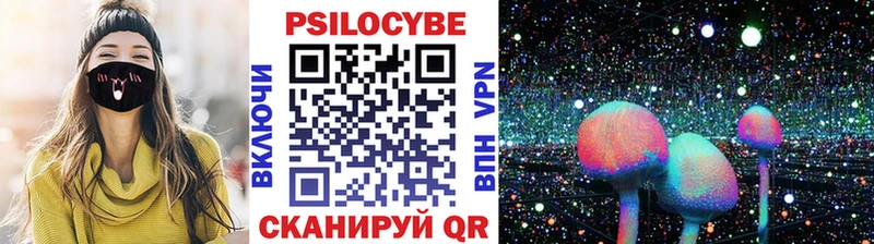 Псилоцибиновые грибы ЛСД  наркота  Питкяранта 
